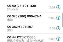 仁化为什么选择专业追讨公司来处理您的债务纠纷？